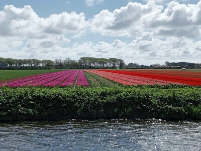 image-123650291a image-123650291a